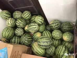 锦州吃瓜群,揭秘网络社交的“瓜田”盛景