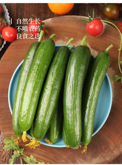 太原吃瓜鲜生,吃瓜鲜生带你领略地方风味