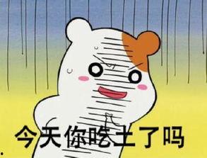 宝宝吃土瓜,揭秘营养与安全的双重挑战