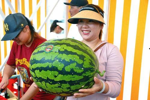 开心看吃瓜,揭秘娱乐圈幕后故事