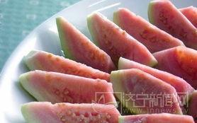 毛小毛吃瓜,毛小毛的瓜田奇遇记