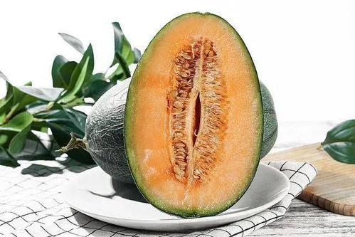 这月吃瓜的季节,本月吃瓜指南