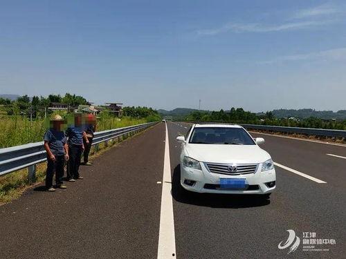 应急车道上吃瓜,揭秘吃瓜背后的安全隐患