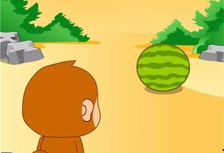 猴子吃瓜的故事,一场智慧与勇气的较量