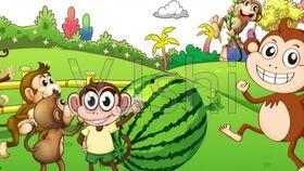 猴子吃瓜的故事,一场智慧与勇气的较量