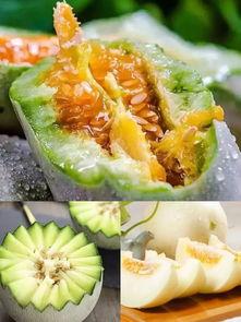 吃瓜后大便成形,大便成形背后的秘密