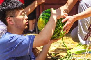 瑞典集体吃瓜,全民集体“吃瓜”现象揭秘