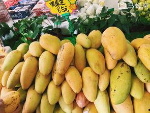 helens厦门吃瓜,跟随Helen一起吃瓜品鲜