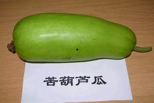 吃不熟瓜,探寻“吃不熟瓜”的奥秘与挑战