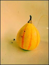 新沂大白妈吃瓜,揭秘网络热议背后的真相