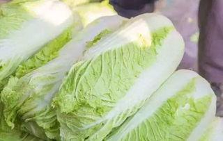 新沂大白妈吃瓜,揭秘网络热议背后的真相