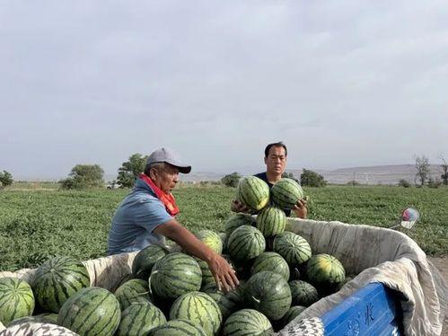 吃瓜3846区,一场全民参与的狂欢盛宴