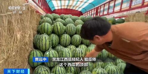 吃瓜3846区,一场全民参与的狂欢盛宴