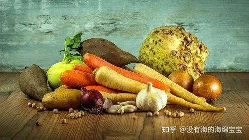 老人可以吃籽瓜吗,老人适宜食用籽瓜的养生之道
