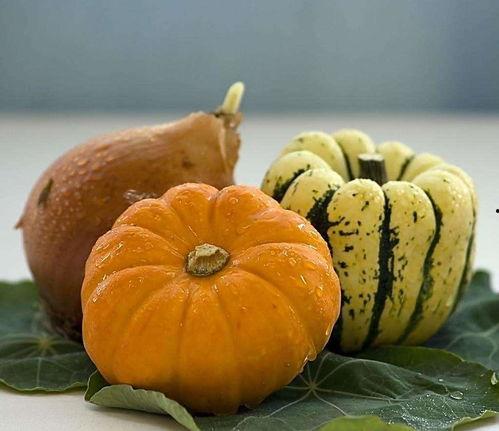 511吃瓜网,511吃瓜网带你领略明星幕后故事